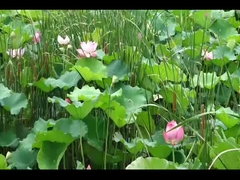 랜투 트리 보야 무료 자동차 보야 SUV 전기 자동차 520KM 빠른 충전 0.5H