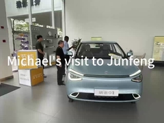 S3 EV 신에너지 차량 4030 X 1810 X 1570mm 동펜 전기 차량